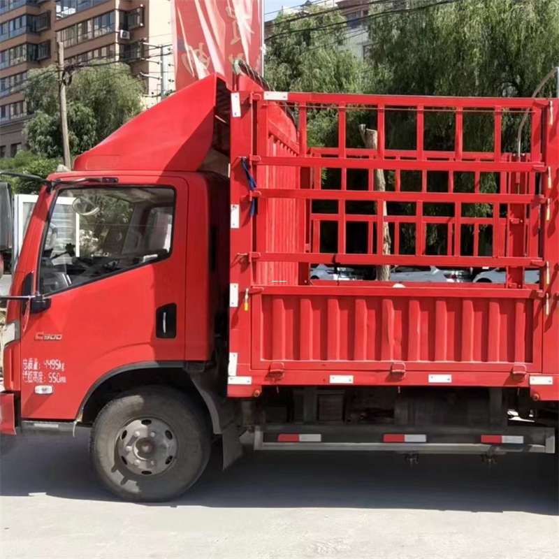 探秘西乡县进仓物流：专线直达的多元货运之旅