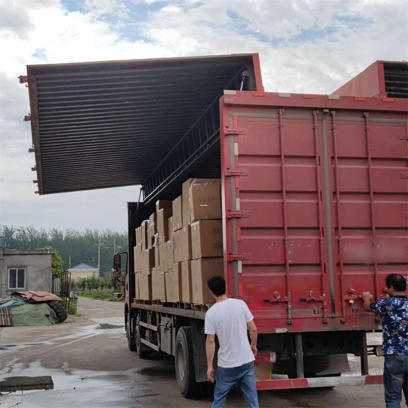 颍泉区扎囊县：物流专线的高效货运之旅